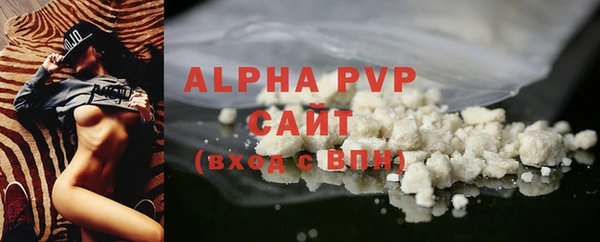 PSILOCYBIN Балабаново