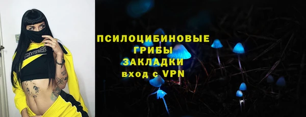 PSILOCYBIN Балабаново