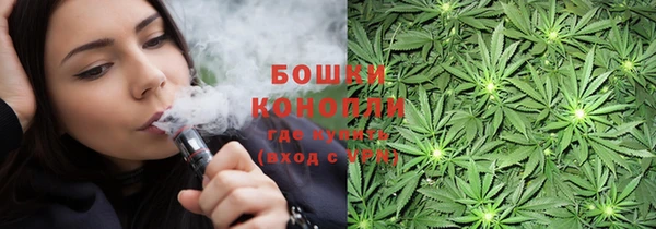 PSILOCYBIN Балабаново