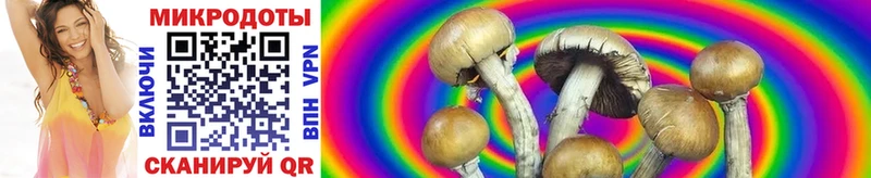 как найти закладки  Купино  Галлюциногенные грибы GOLDEN TEACHER 